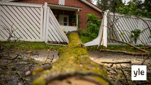 Aila-myrsky pyyhkinyt yli Hämeen - Tältä tilanne näyttää alkuillasta: 17.09.2020 18.38