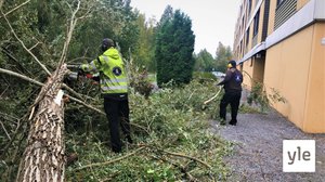 Aila-myrsky seisautti junaliikenteen ja katkoi sähköjä: 17.09.2020 18.40