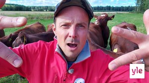 BUU-klubben: 21.09.2020 18.00