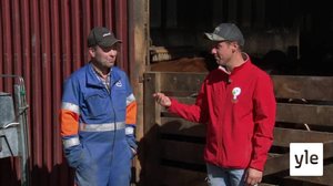 Jontti tar ut korna: 21.09.2020 14.50