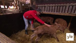 Jontti döper Plåstret: 23.09.2020 07.15