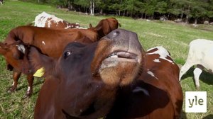 Bjarne berättar om sitt jobb: 25.09.2020 07.15