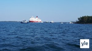 Amorellan siirtourakka edistyy hitaasti, mutta varmasti Ahvenanmaalla : 23.09.2020 18.15