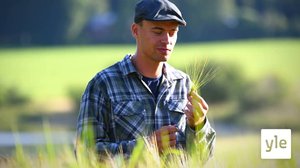 Takaisin maalle! Perttu Hyvärinen hiihtää arvokisamitaleista ladulla, mutta tulevaisuuden unelmat löytyvät pellolta ja metsästä: 26.09.2020 00.01