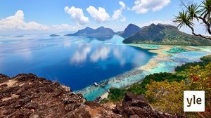 Borneo: 28.09.2020 06.00