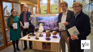 Lintuharrastajien havainnot olennaisia lintujen tutkimisessa: 25.09.2020 18.35