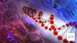 FinnGen-hanke tutkii suomalaisia geenejä ja sairauksia: 29.09.2020 12.26