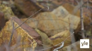 Novosti Yle: 30.09.2020 16.55