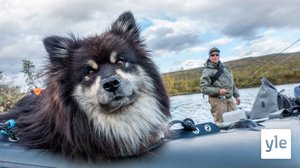 Peurakolarikin on elämys: 04.10.2020 00.01