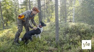 Hämäriä havaintoja: 04.10.2020 00.01