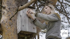 Helmipöllön kohtalo: 04.10.2020 00.01