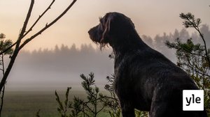 Puputohtori: 04.10.2020 00.01