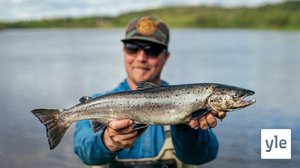 Supinaa ja pillitystä: 04.10.2020 00.01