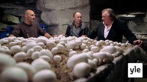 Pariisi: 08.10.2020 19.00