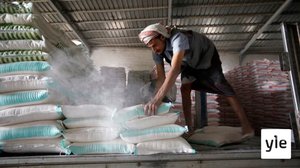 Nobelin rauhanpalkinto jaetaan Oslossa: 09.10.2020 12.17