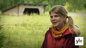 Hiljaisuus, kuuntelu, vapaus.: 10.10.2020 13.40