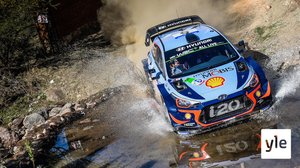 Rallin MM Sardinia - EK 8 - live: 10.10.2020 10.28