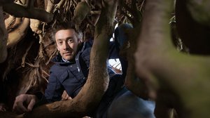 Prisma: Maailma jalkojemme alla: 22.11.2017 19.00