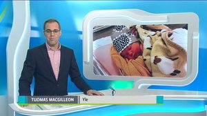 Yle Uutiset Pohjois-Suomi: Yle Uutiset Pohjois-Suomi 23-11-2017 Klo 18-22: 23.11.2017 17.56