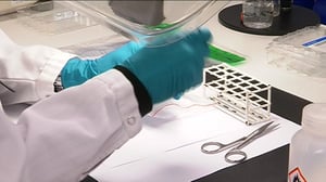 Yle Uutiset Uusimaa: Yle Uutiset Uusimaa 23-11-2017 klo 17-06: 23.11.2017 18.29