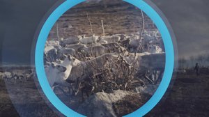 Oddasat: 23.11.2017 22.00