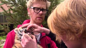 Elämäni eläimet: Eläinsairaalassa: 24.11.2017 12.10