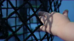 Yle Uutiset Itä-Suomi: Yle Uutiset Itä-Suomi 24-11-2017 Klo 17-06: 24.11.2017 16.36