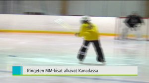 Yle Uutiset Itä-Suomi: Yle Uutiset Itä-Suomi 24-11-2017 Klo 18-22: 24.11.2017 17.42