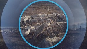 Oddasat: 24.11.2017 22.00