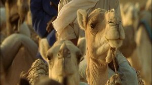 Afrikan luonnon helmiä: 26.11.2017 08.55