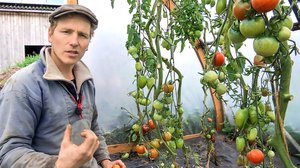 Tanskalainen maajussi: 26.11.2017 18.30