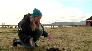 Unna Junná: 27.11.2017 08.35