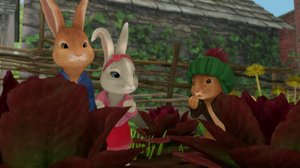 Petteri Kaniini (S): 28.11.2017 08.08