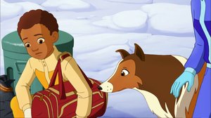 Lassie (7): 28.11.2017 08.25