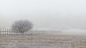 Pohjolan luonto (S): 28.11.2017 10.50