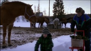 Vaarin riihellä: 01.12.2017 12.00