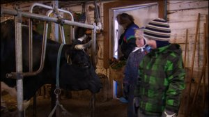 Vaarin riihellä: 01.12.2017 12.00