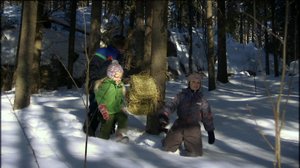 Vaarin riihellä: 01.12.2017 12.00