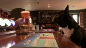 Uutisvuoto: 02.12.2017 21.15