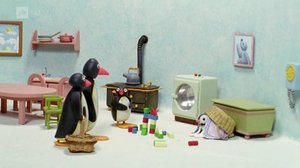 Pingu (S): 04.12.2017 07.49