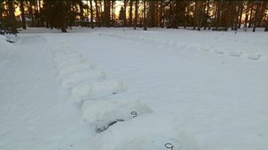 Yle Uutiset Lappi: Yle Uutiset Lappi 04-12-2017 Klo 17-06: 04.12.2017 16.52