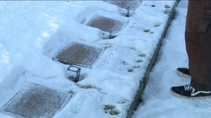 Yle Uutiset Pohjois-Suomi: Yle Uutiset Pohjois-Suomi 05-12-2017 Klo 17-06: 05.12.2017 16.36