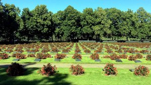 Pro Patria: Vaiennut linnake: 06.12.2017 00.01