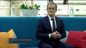 Itsenäisyyspäivä: Linnan juhlat viittomakielellä: 07.12.2017 11.00