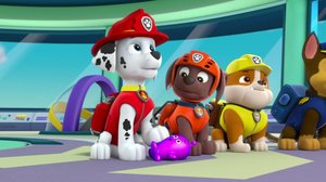 Ryhmä Hau (S): 10.12.2017 07.47