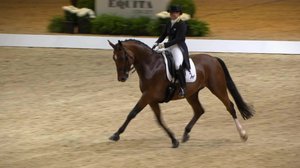 Ratsastuksen maailma: 10.12.2017 14.14