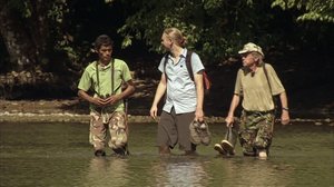 Luontomatkalla Costa Ricassa: 11.12.2017 10.00