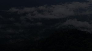 Tapaus Borneo (12): 11.12.2017 12.00