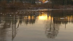 Yle Uutiset Lounais-Suomi: Yle Uutiset Lounais-Suomi 11-12-2017 Klo 17-06: 12.12.2017 15.17