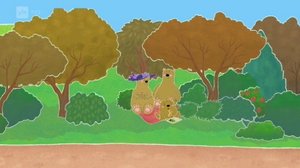 Jääkarhu Otto (S): 14.12.2017 06.53